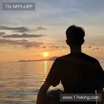 赵鸽
